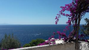 Marina Blu - Borgo storico Conca dei Marini