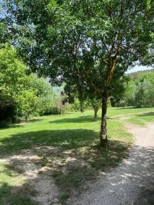 Maisons de vacances Dans la campagne aixoise : photos des chambres