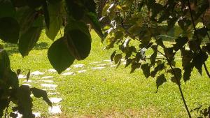 JACARANDÁ Chalés com piscina em São José da Serra MG