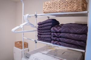 眺望抜群 高層階 錦糸町駅徒歩5分【浅草,秋葉原,新宿,成田,羽田アクセス】プロジェクタWiFi完備