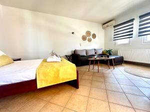 Porto Nuovo Studio 1