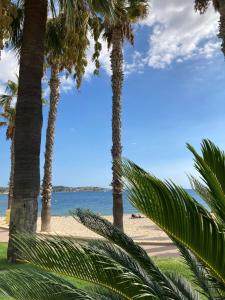 B&B / Chambres d'hotes Chambre d-hote Centre Ville Bandol : photos des chambres