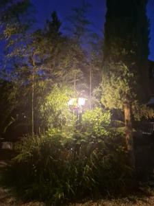 Disneyland Paris house for 6 people