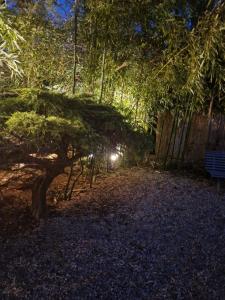 Disneyland Paris house for 6 people