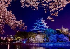 広島Riverside house第2ひまわり301号室