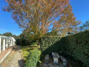 Maisons de vacances Ile d oleron Vertbois, Villa Bois Piscine et mer : photos des chambres