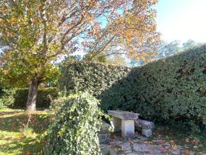 Maisons de vacances Ile d oleron Vertbois, Villa Bois Piscine et mer : photos des chambres