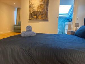 Appartements Appartement 3 : photos des chambres