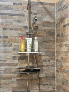 La plaine - T1BIS- Clim