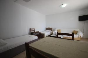 Harry Apartment