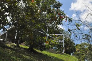 Natural Glamping La Vega