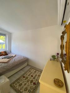 Gold Frog Apartman
