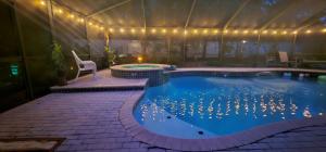 Jungle Oasis By Busch Gardens USF and Amphitheater