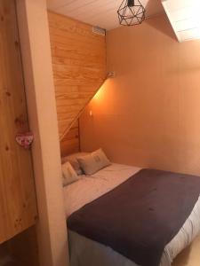 Appartements Bas de chalet La Foux d-Allos : photos des chambres