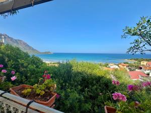 Sea Breeze - Joy Collection img19