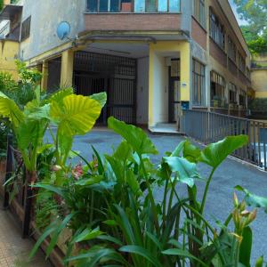 Appartamento Rea Silvia