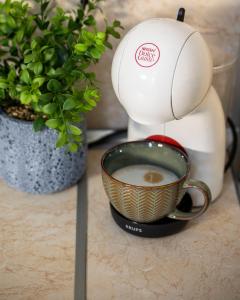 Boho Floral Apartment near to Old Town