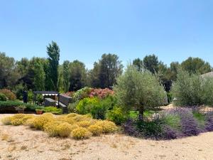 Maisons de vacances Villa au coeur de la Provence : photos des chambres