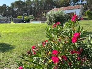Maisons de vacances Villa au coeur de la Provence : photos des chambres