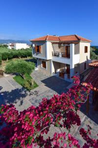 So Nice Hotel Samos Greece