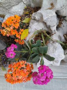 B&B / Chambres d'hotes Chambre d-hote chez Nicole et Pierre : photos des chambres