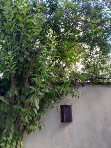 B&B / Chambres d'hotes Chambre d-hote chez Nicole et Pierre : photos des chambres