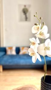 Top Central Rhapsody Residence - 4 rooms - Steps from Major Attractions