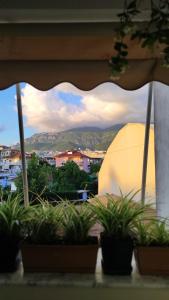 Warm Wooden Escape, Cozy & Elegant Stay