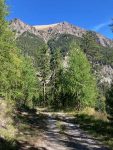 Appartements Les Melezes 1 Studio : Studio - Vue sur Montagne