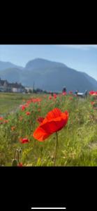 Loch Linnhe View house 17, Fort William