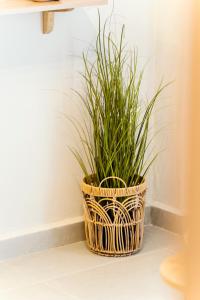 Stylianis Cozy Apartment