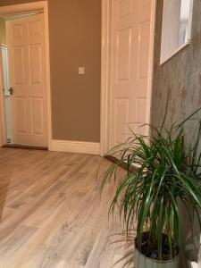 Glastonbury town centre modern apartment