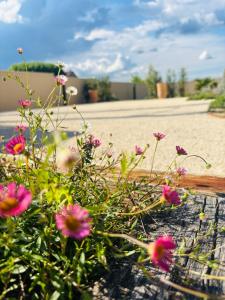 Maisons de vacances Le Mas de Sandre, en campagne : photos des chambres