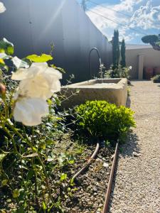 Maisons de vacances Le Mas de Sandre, en campagne : photos des chambres