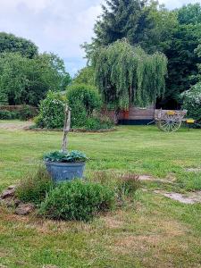 Chalets Le Cedre : photos des chambres