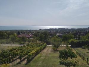 NyugtatLak