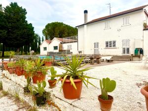 Bagnolo 23 Colli dell Infinito