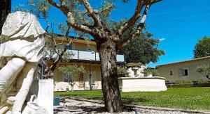 Maisons d'hotes Mas d-Andiol : photos des chambres