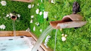 Maisons d'hotes Mas d-Andiol : photos des chambres