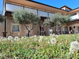 Maisons d'hotes Mas d-Andiol : photos des chambres