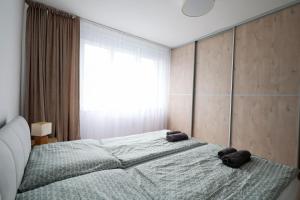 Panorama Residence - Samorin near X-Bionic sphere