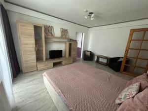 Central Civic Armoniei Studio - Self check in -Mall Afi