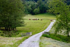 Erholung an den Wasserfällen - Ferienwohnung in Baden-Baden - Stilvolles Apartment mit Terrasse, Parkplatz & ruhiger Lage