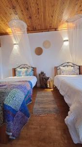 Indovu Wellness Retreat