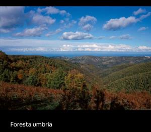 Ladybug house Puglia 1