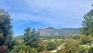 Appartements LOGEMENTS ACCES PISCINE - T2 Residence Serena : photos des chambres