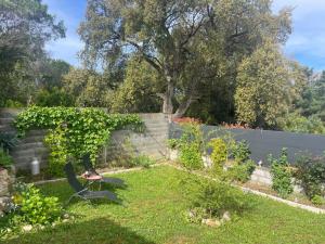 Appartements LOGEMENTS ACCES PISCINE - T2 Residence Serena : photos des chambres