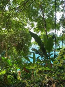 Hotel sol vitória Marina vista corredor da Vitória