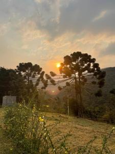 Casa Seriema - comforto e luz natural
