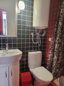 Ельжбета смарт